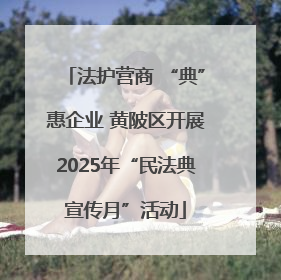 法护营商 “典”惠企业 黄陂区开展2025年“民法典宣传月”活动