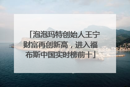 泡泡玛特创始人王宁财富再创新高，进入福布斯中国实时榜前十