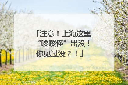 注意！上海这里“嘤嘤怪”出没！你见过没？！