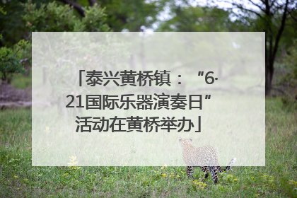 泰兴黄桥镇：“6·21国际乐器演奏日”活动在黄桥举办