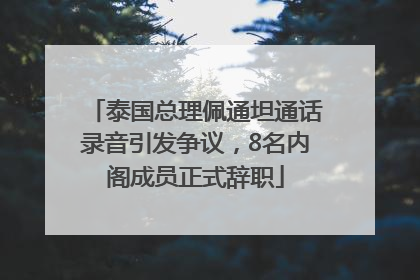 泰国总理佩通坦通话录音引发争议，8名内阁成员正式辞职