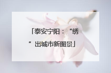 泰安宁阳：“绣”出城市新图景