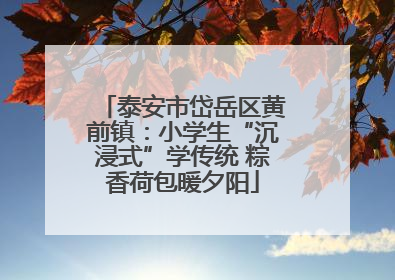 泰安市岱岳区黄前镇：小学生“沉浸式”学传统 粽香荷包暖夕阳
