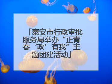 泰安市行政审批服务局举办“正青春‘政’有我”主题团建活动