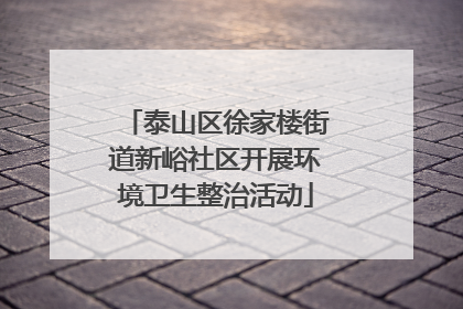 泰山区徐家楼街道新峪社区开展环境卫生整治活动