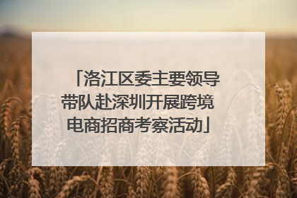 洛江区委主要领导带队赴深圳开展跨境电商招商考察活动