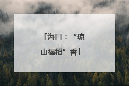 海口：“琼山福稻”香