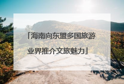 海南向东盟多国旅游业界推介文旅魅力
