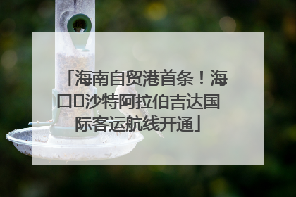 海南自贸港首条！海口⇌沙特阿拉伯吉达国际客运航线开通
