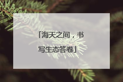 海天之间，书写生态答卷