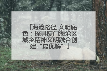 海沧路径 文明底色：探寻厦门海沧区城乡精神文明融合创建“最优解”