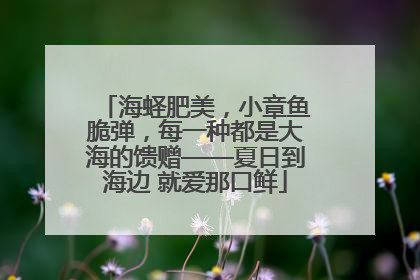 海蛏肥美，小章鱼脆弹，每一种都是大海的馈赠——夏日到海边 就爱那口鲜