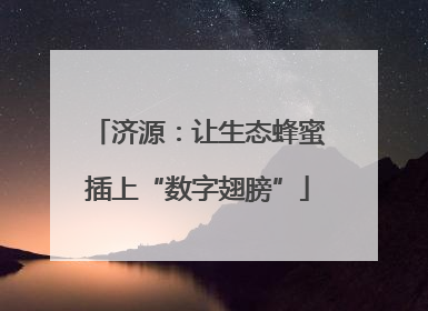 济源：让生态蜂蜜插上“数字翅膀”