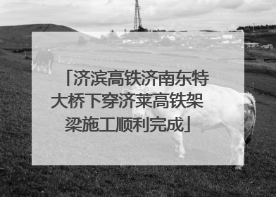 济滨高铁济南东特大桥下穿济莱高铁架梁施工顺利完成