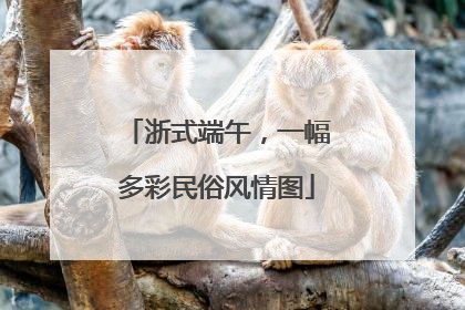 浙式端午，一幅多彩民俗风情图