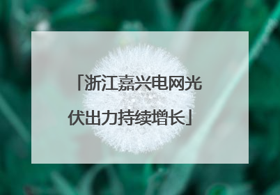 浙江嘉兴电网光伏出力持续增长