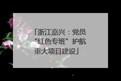 浙江嘉兴：党员“红色专班”护航重大项目建设
