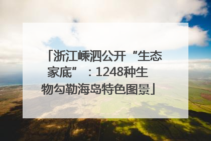 浙江嵊泗公开“生态家底”：1248种生物勾勒海岛特色图景