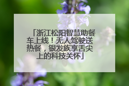 浙江松阳智慧助餐车上线！无人驾驶送热餐，银发族享舌尖上的科技关怀