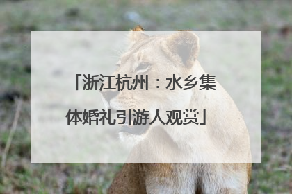 浙江杭州：水乡集体婚礼引游人观赏
