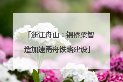 浙江舟山：钢桥梁智造加速甬舟铁路建设