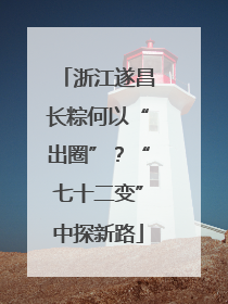 浙江遂昌长粽何以“出圈”？“七十二变”中探新路