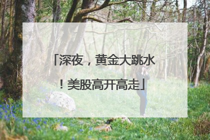 深夜，黄金大跳水！美股高开高走