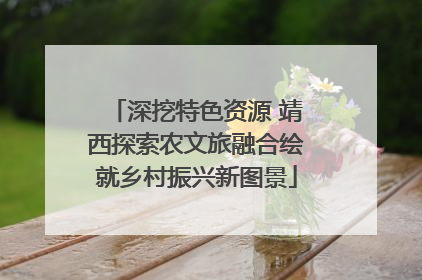 深挖特色资源 靖西探索农文旅融合绘就乡村振兴新图景