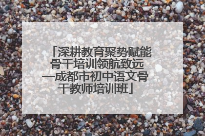 深耕教育聚势赋能 骨干培训领航致远—成都市初中语文骨干教师培训班