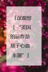 深观察丨“美国的运作是基于心血来潮”