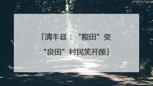 清丰县：“粮田”变“良田”村民笑开颜