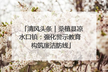 清风头条｜桑植县凉水口镇：强化警示教育 构筑廉洁防线