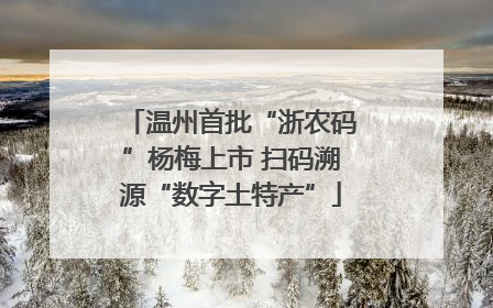 温州首批“浙农码”杨梅上市 扫码溯源“数字土特产”