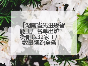 湖南省先进级智能工厂名单出炉 衡阳以32家工厂数量领跑全省