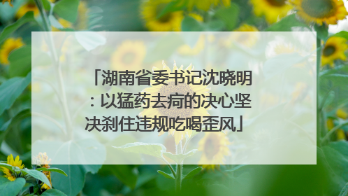 湖南省委书记沈晓明：以猛药去疴的决心坚决刹住违规吃喝歪风