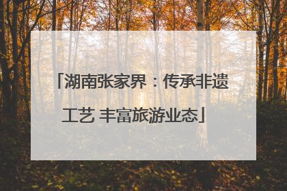 湖南张家界：传承非遗工艺 丰富旅游业态