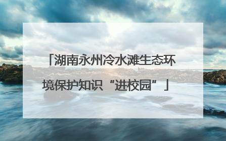 湖南永州冷水滩生态环境保护知识“进校园”
