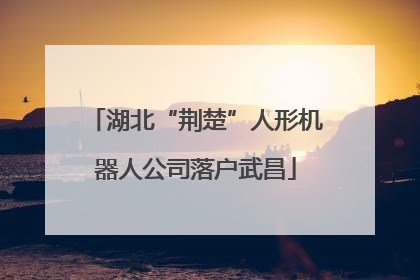 湖北“荆楚”人形机器人公司落户武昌
