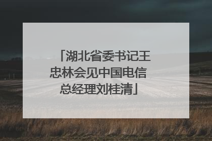 湖北省委书记王忠林会见中国电信总经理刘桂清