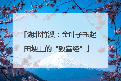 湖北竹溪：金叶子托起田埂上的“致富经”