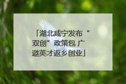 湖北咸宁发布“双创”政策包 广邀英才返乡创业