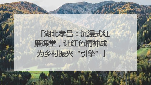 湖北孝昌：沉浸式红廉课堂，让红色精神成为乡村振兴“引擎”