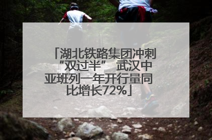 湖北铁路集团冲刺“双过半” 武汉中亚班列一年开行量同比增长72%