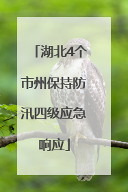 湖北4个市州保持防汛四级应急响应