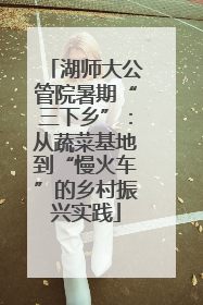 湖师大公管院暑期“三下乡”：从蔬菜基地到“慢火车”的乡村振兴实践