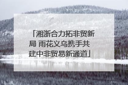 湘浙合力拓非贸新局 雨花义乌携手共建中非贸易新通道