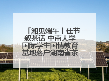 湘见端午丨佳节叙茶话 中南大学国际学生国情教育基地落户湖南省茶叶博物馆