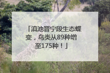 滇池晋宁段生态蝶变，鸟类从89种增至175种！