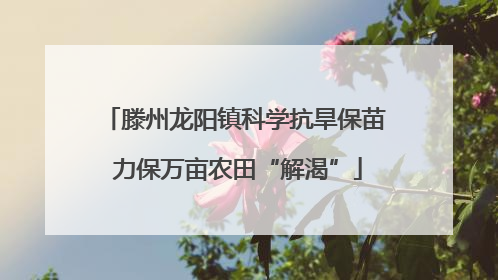 滕州龙阳镇科学抗旱保苗 力保万亩农田“解渴”