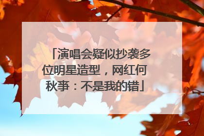演唱会疑似抄袭多位明星造型，网红何秋亊：不是我的错